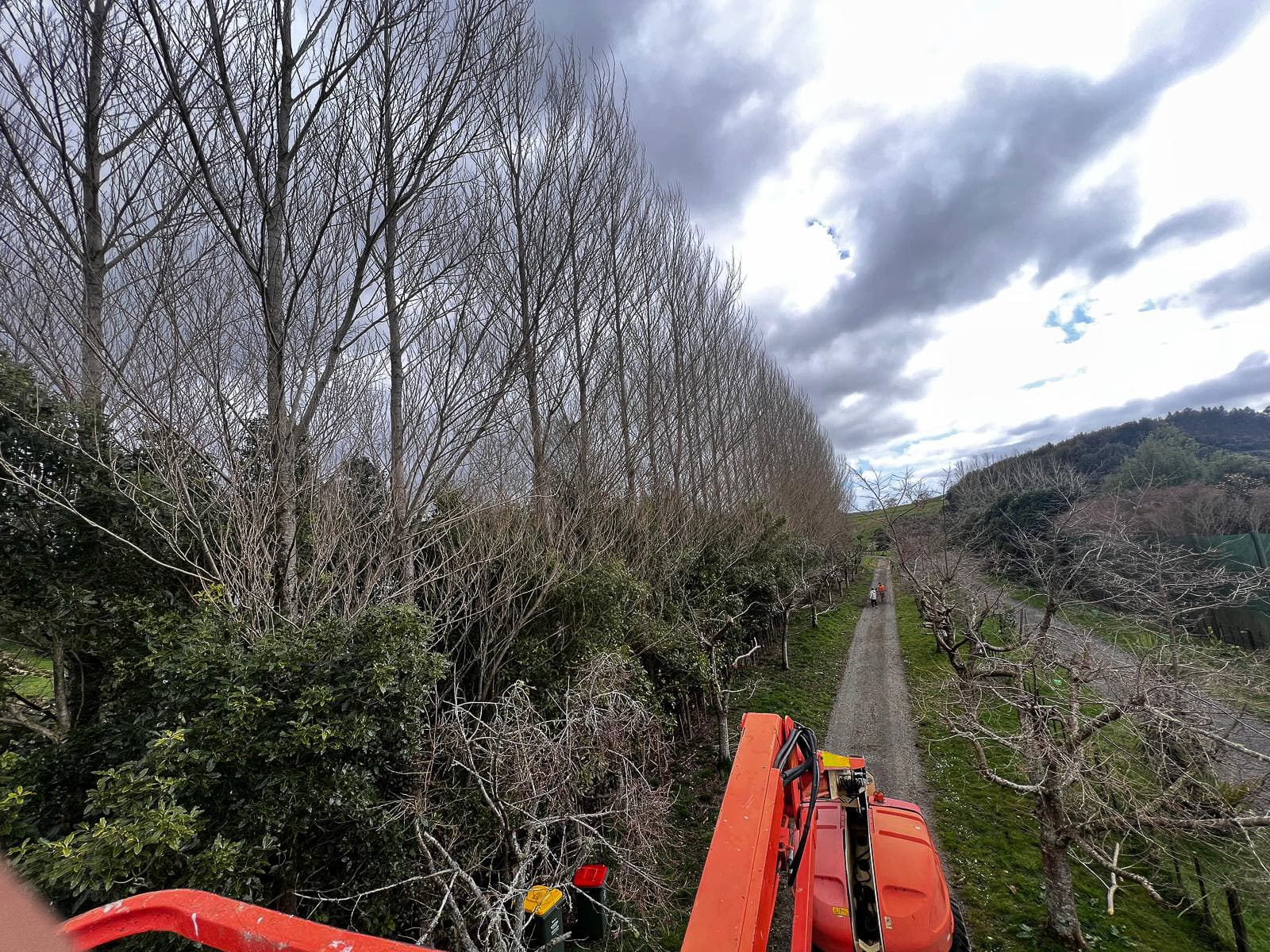 Tree Pruning