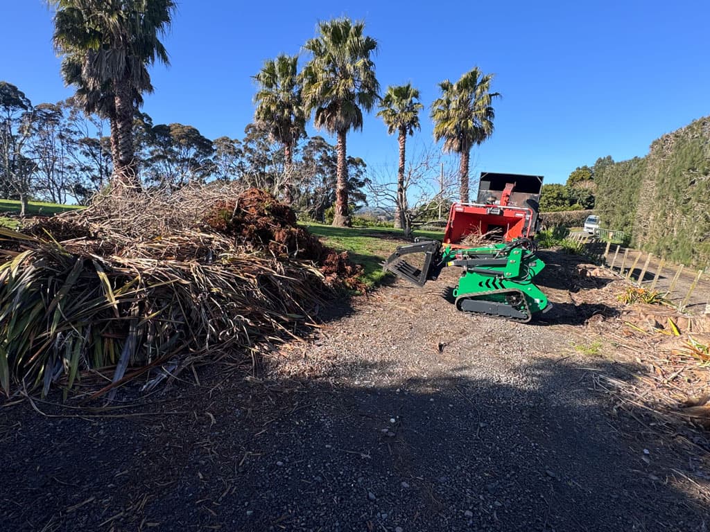 Land Clearing Before