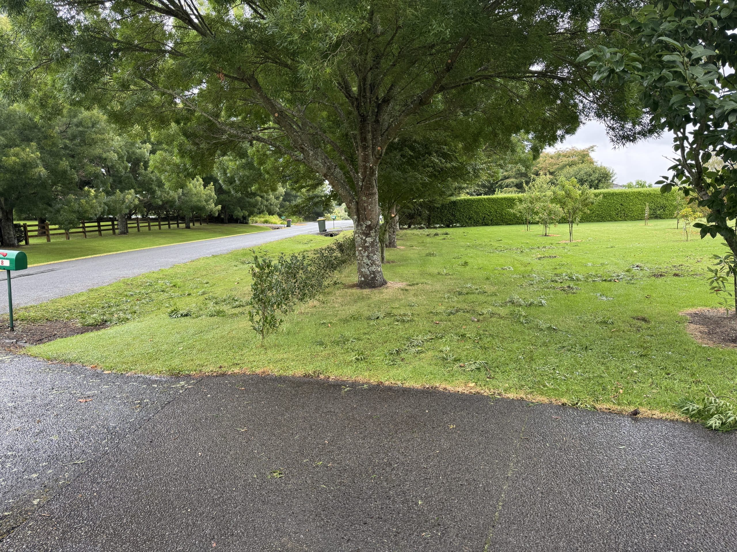 Tree Prunning after