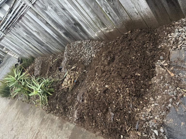 Stump Grinding After