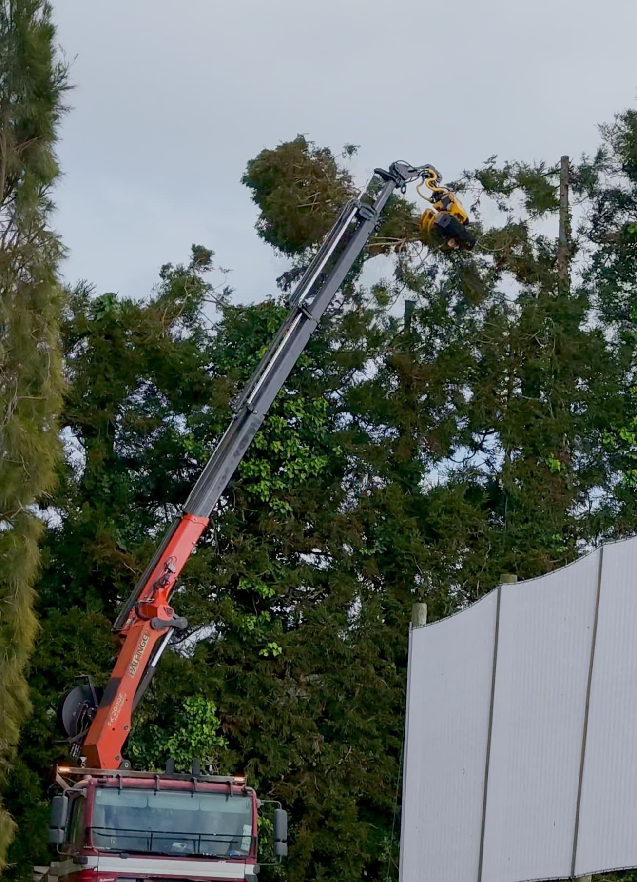 Crane-mounted grapple holding a cut palm section above Treescene’s truck