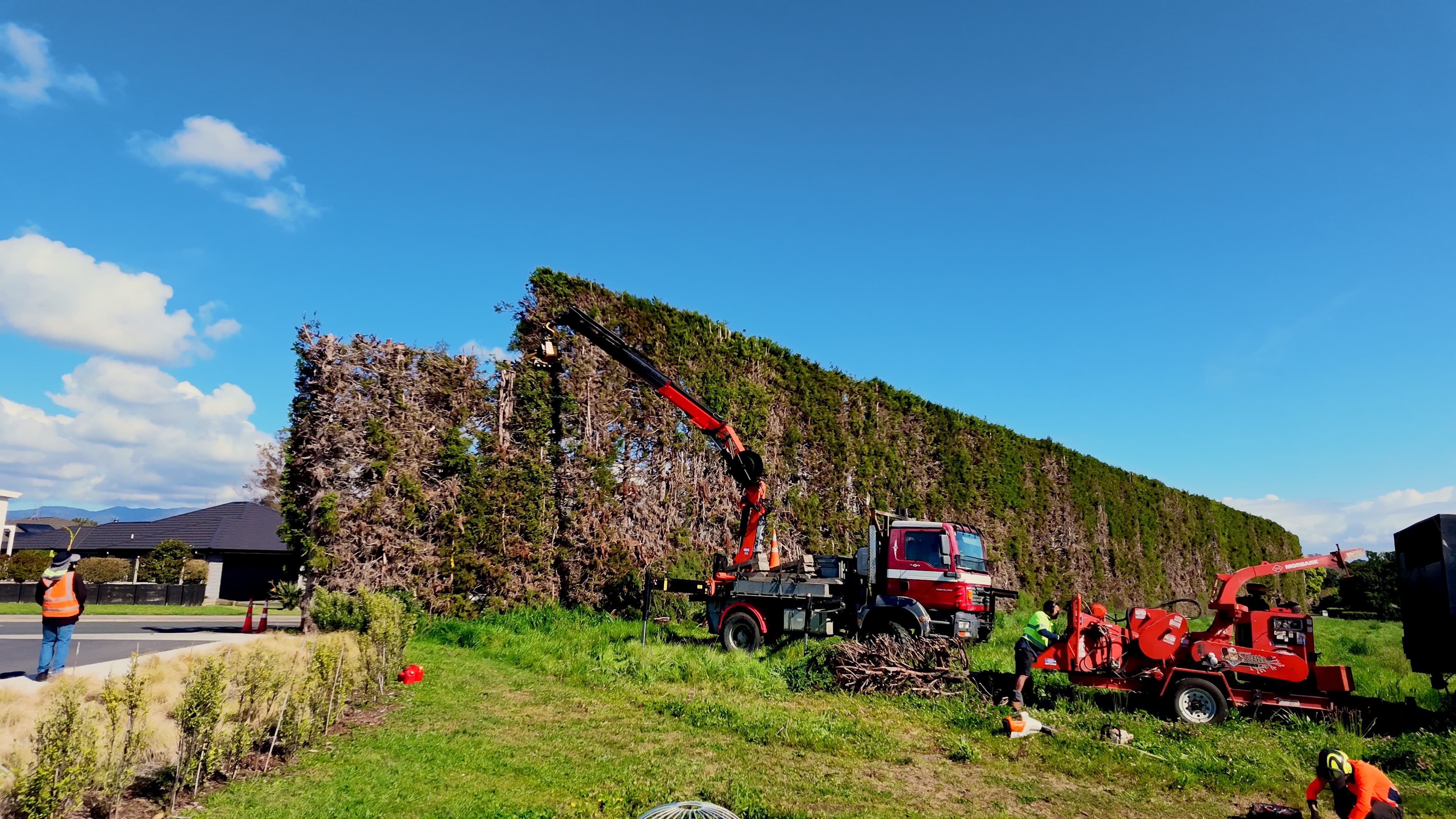 Treescene grapple saw crane truck working beside trees and homes