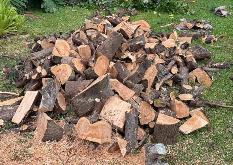Firewood