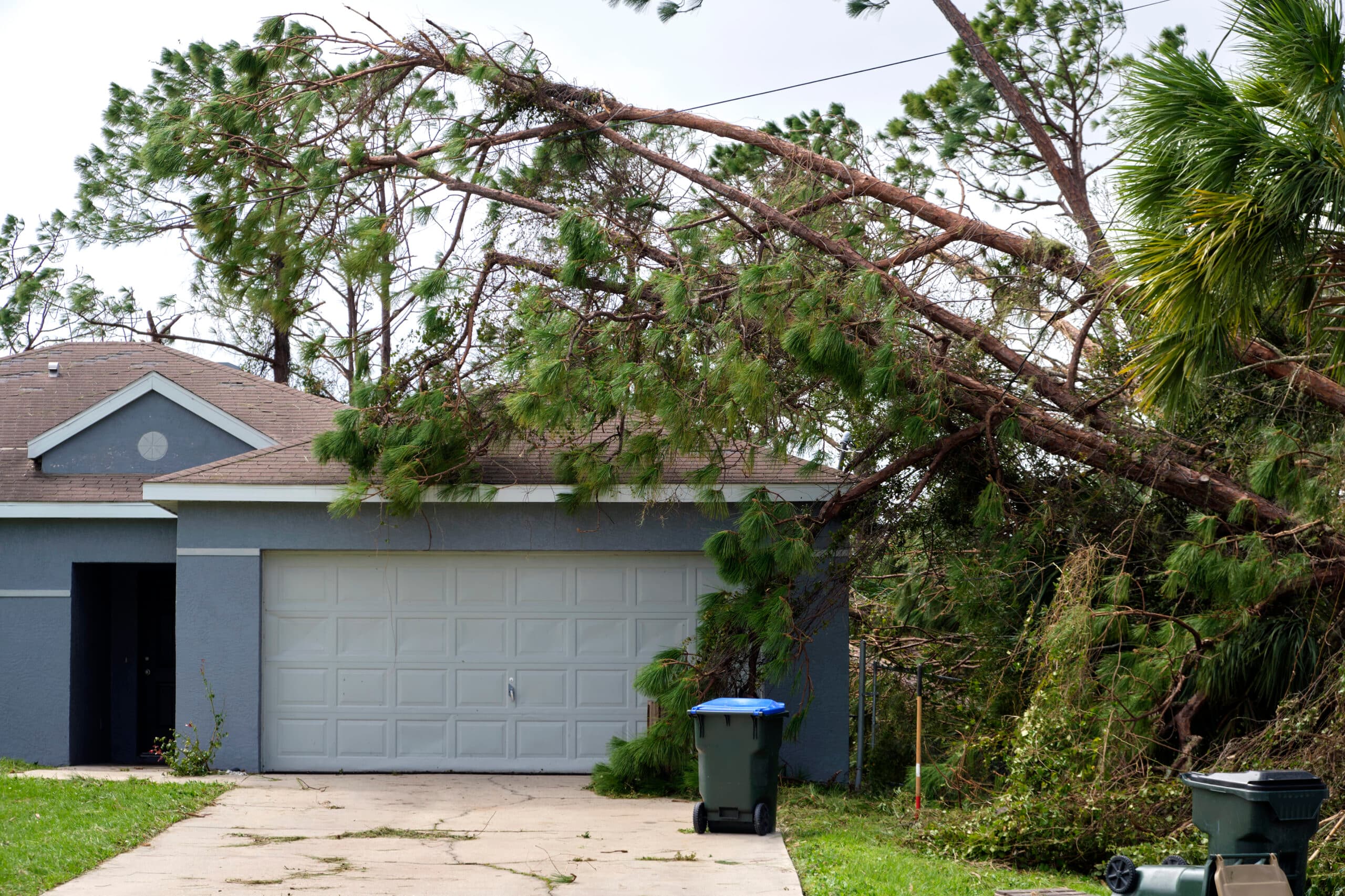 Broken tree on the house