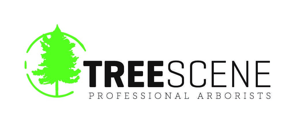  Treescene NZ Limited